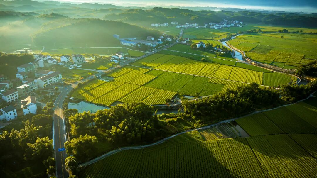 《国道醒青嶂�露白浮稻畴》.jpg 《国道醒青嶂�露白浮稻畴》.jpg